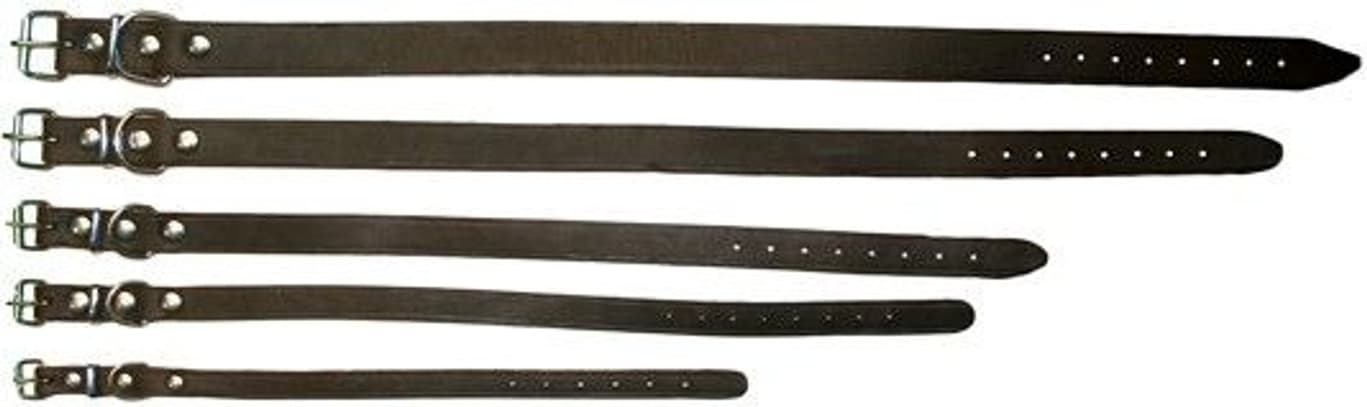 -nahkainen kaulapanta, 30 cm/12 mm, view: 0