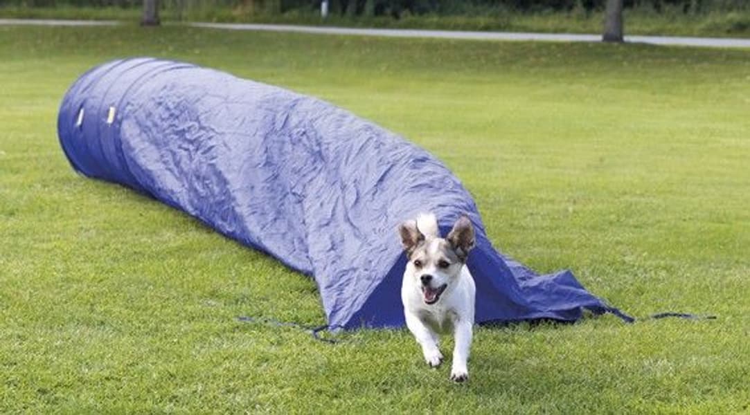 Agility Sacktunnel 60 x 500 cm, view: 0