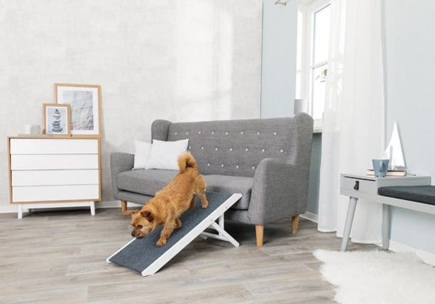 -säädettävä koiran ramppi korkeus 36 x 90 cm, view: 2