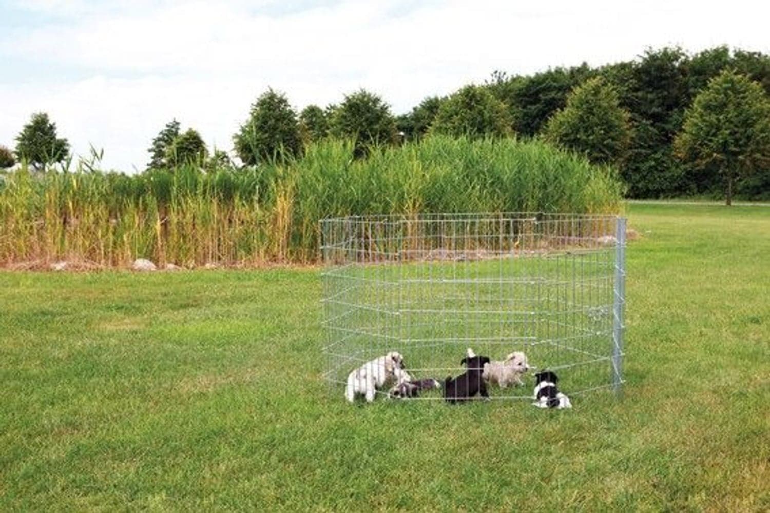 -pentuaitaus, metalli, view: 0