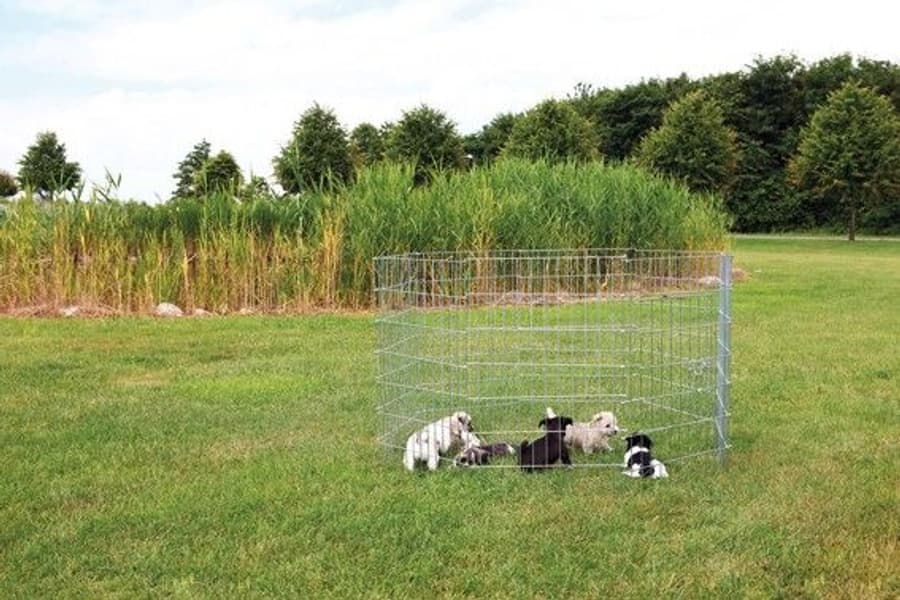 -pentuaitaus, metalli, view: 0