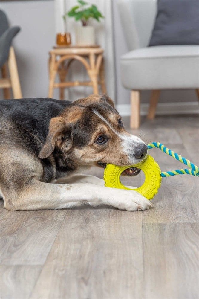 -koiranlelu, autonrengas narussa, 15 cm, view: 3