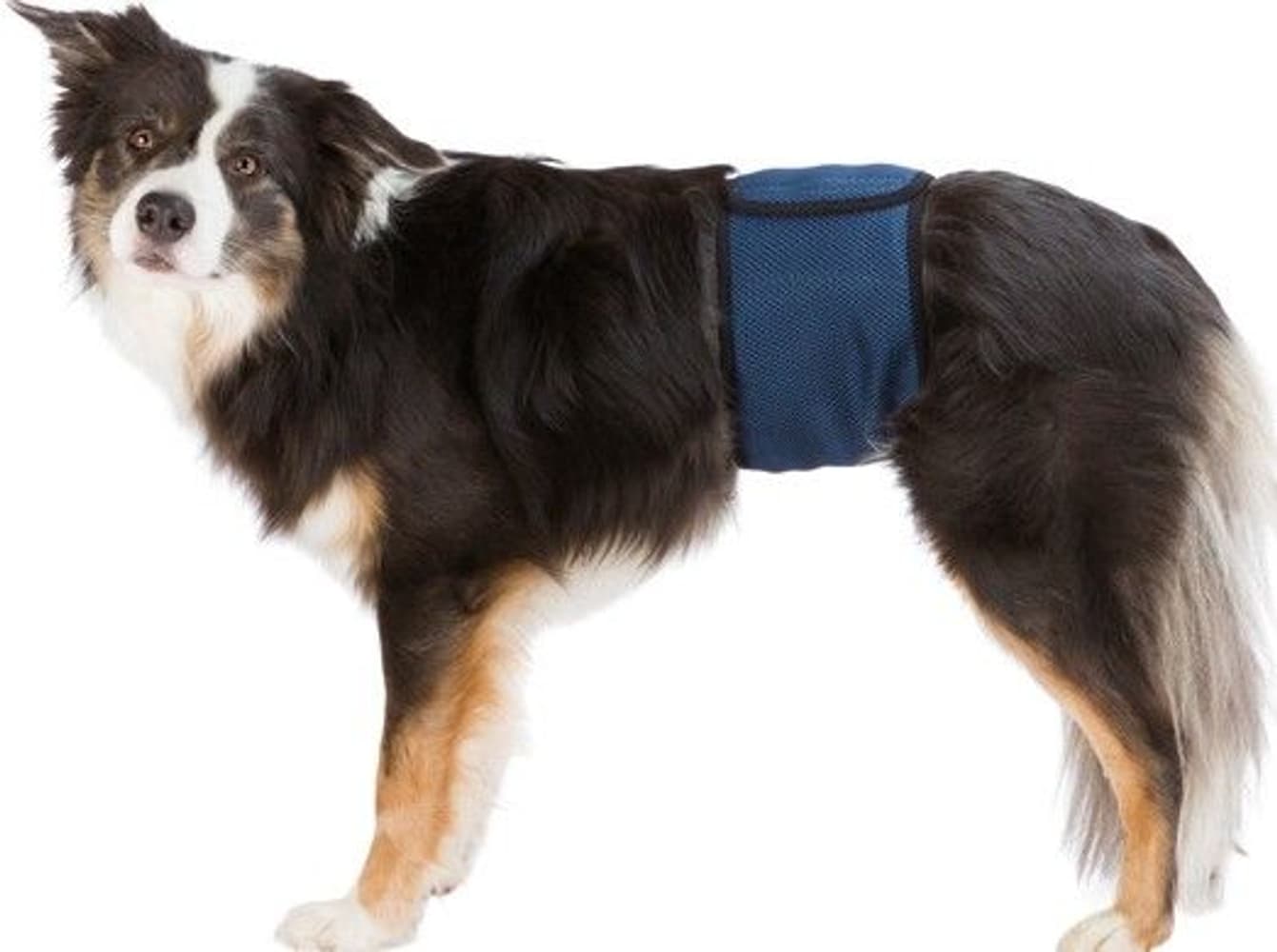 urosvyö, L - XL, tummansininen, view: 0