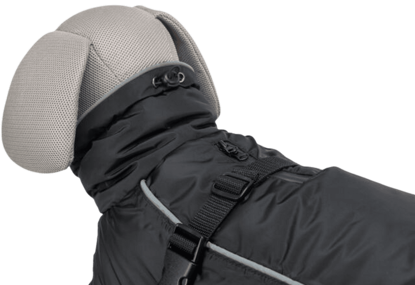 Brizon Winter Coat koiran talvitakki, 40-50 cm, Black, view: 2