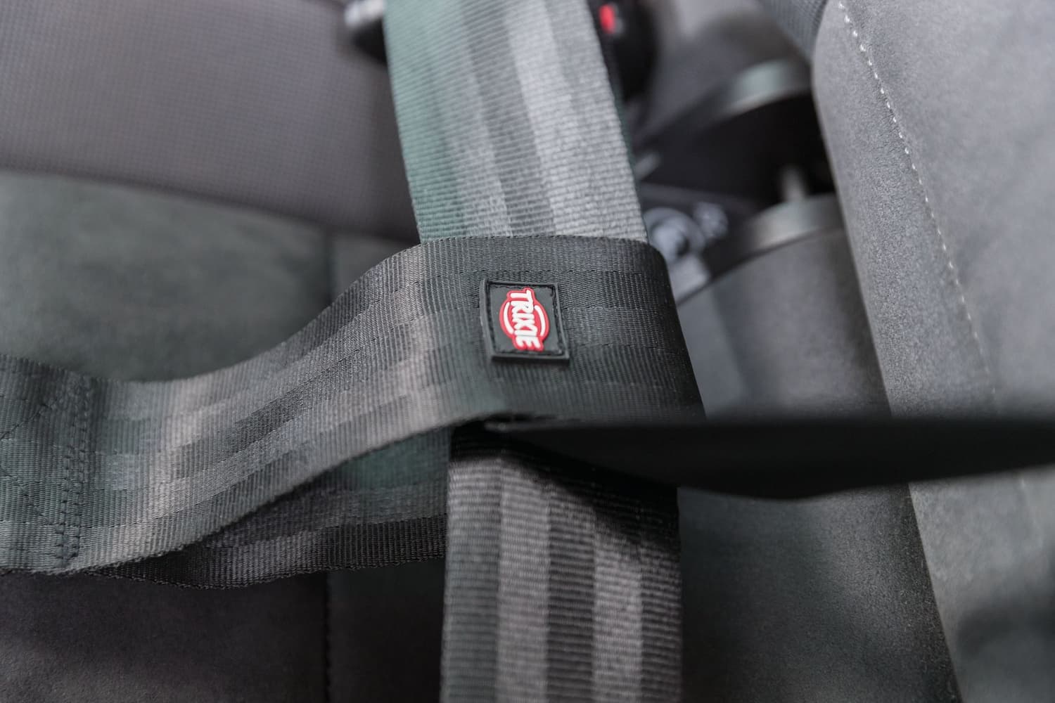 koiran turvavyökiinnike 27 cm, view: 2