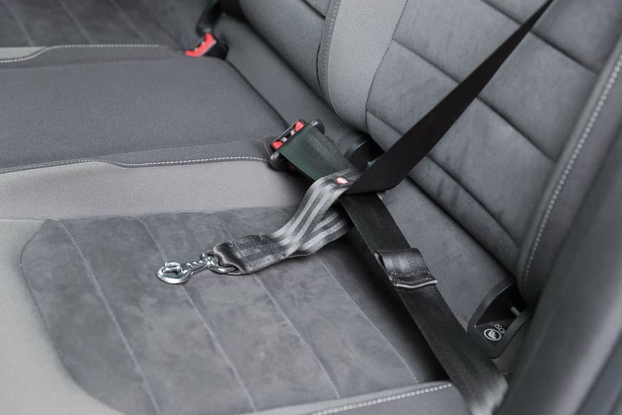 koiran turvavyökiinnike 27 cm, view: 3