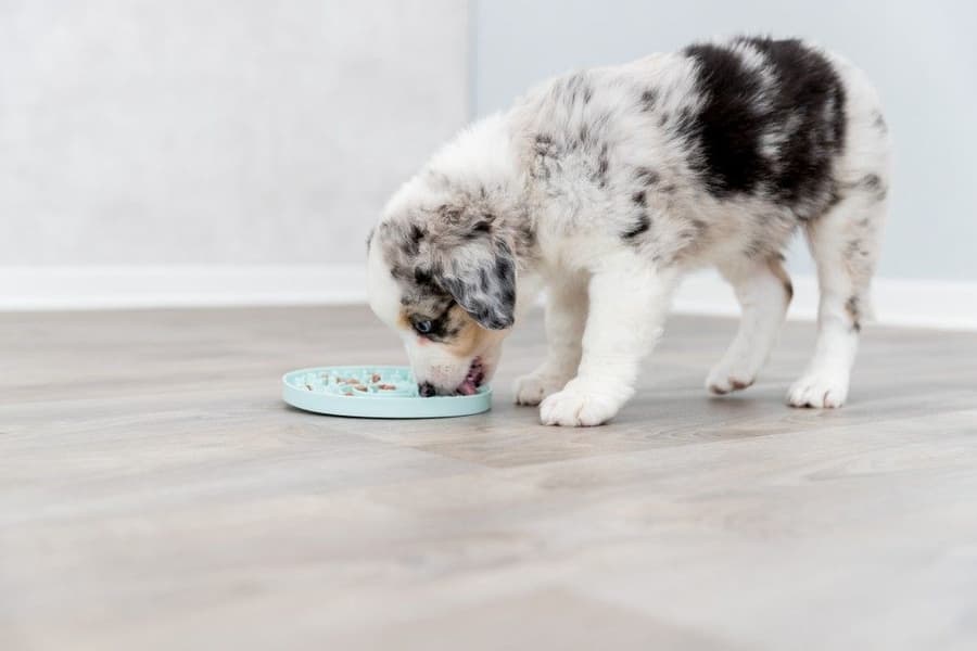 aktivointilelu, 15 cm, view: 5