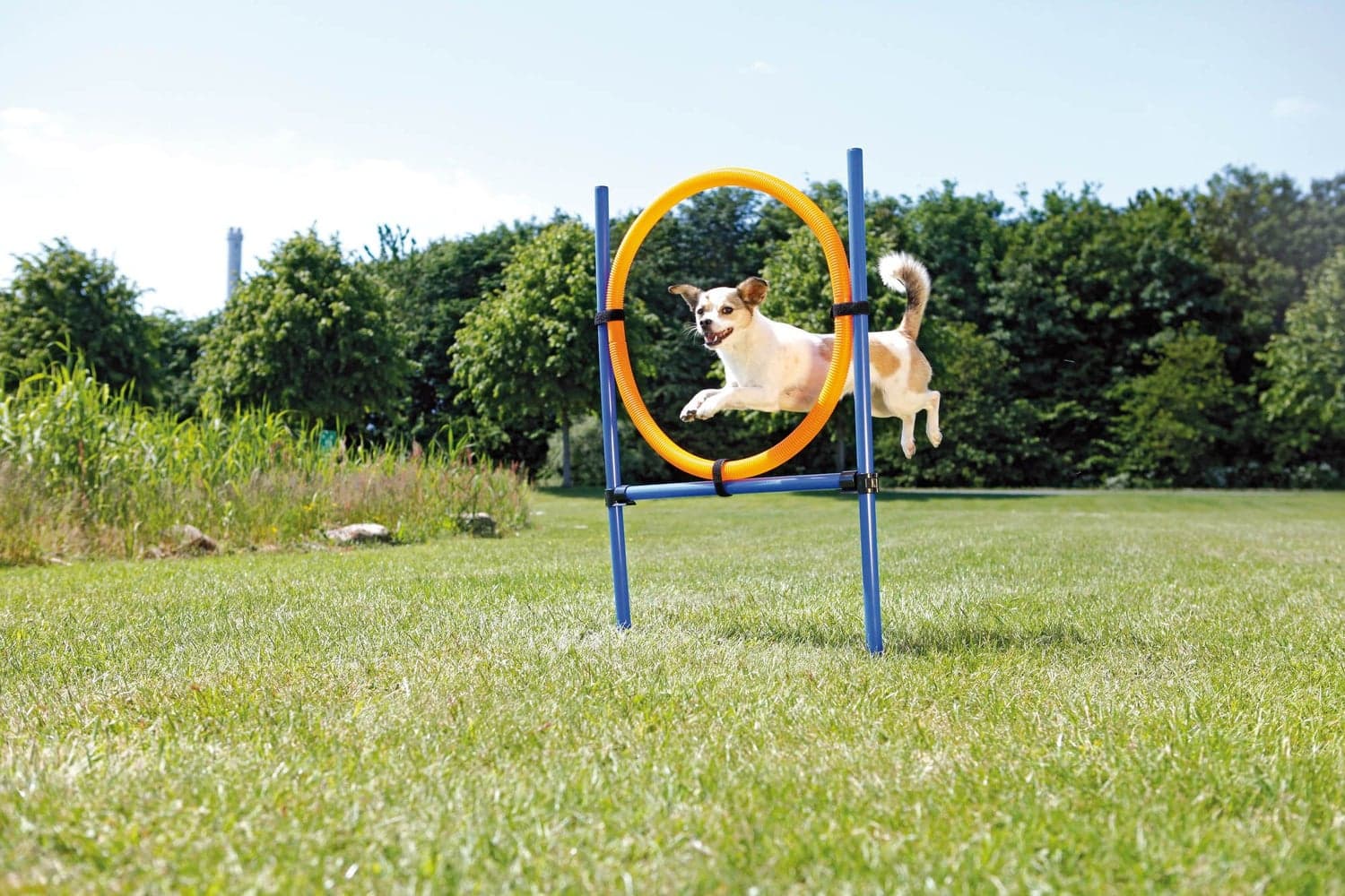 Agility Hyppyrengas 78 x 65 x 115 cm, view: 1