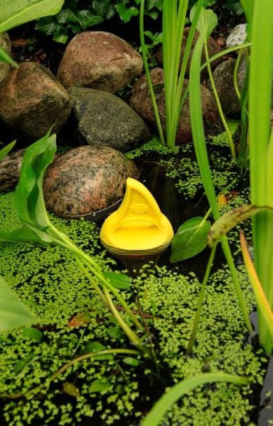 Aqua Toy kelluva lelu, 18 cm, view: 3