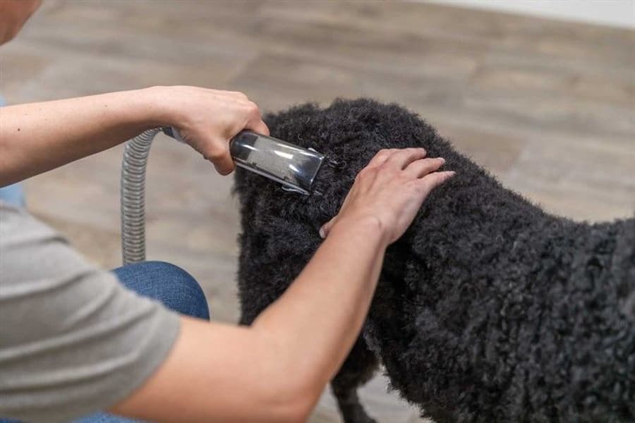 trimmaussetti, 2L 600W, view: 8