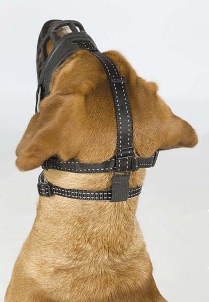 -silikoninen kuonokoppa L, view: 2