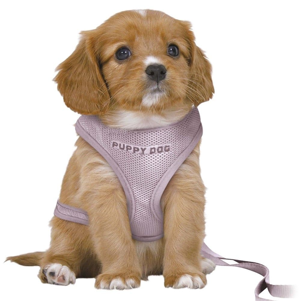 Junior pentuvaljaat + talutin, M-L, vaalea violetti, view: 2