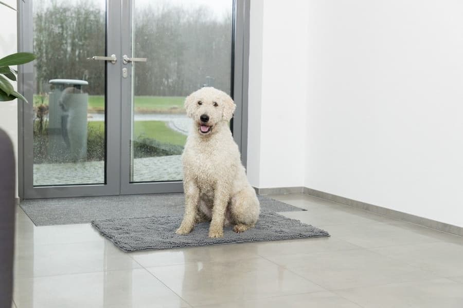 likaa imevä matto, 60 × 50 cm harmaa, view: 3