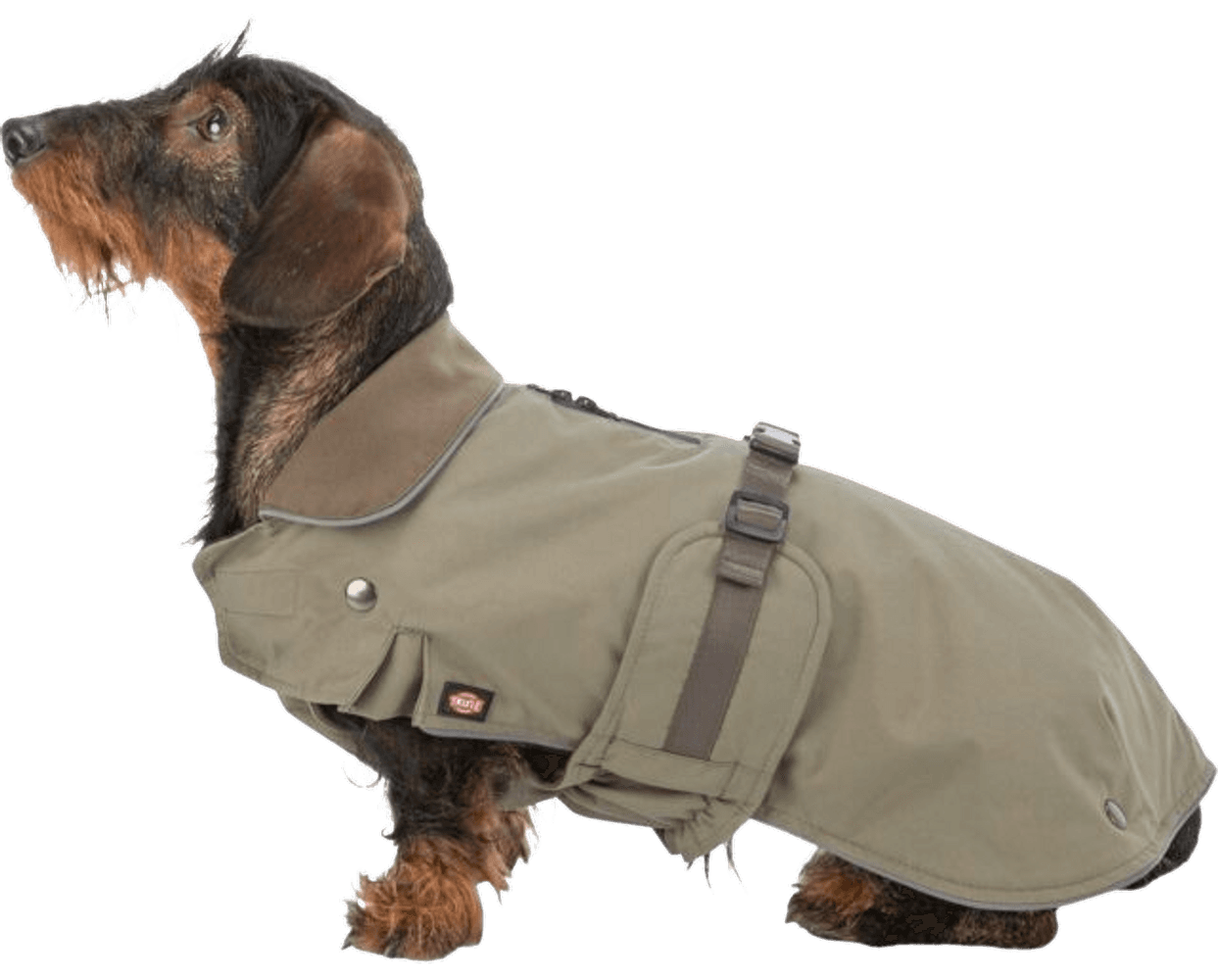 Hermy 2 in 1 Dachshund koiran takki, 28 cm, Olive Green, view: 1