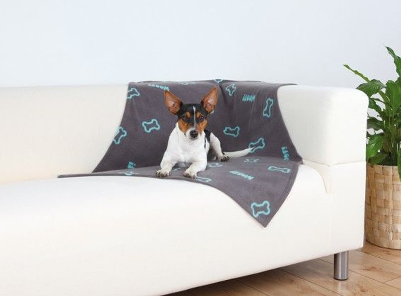 Beany -koiran fleeceviltti, harmaa, 100 x 70 cm, view: 0