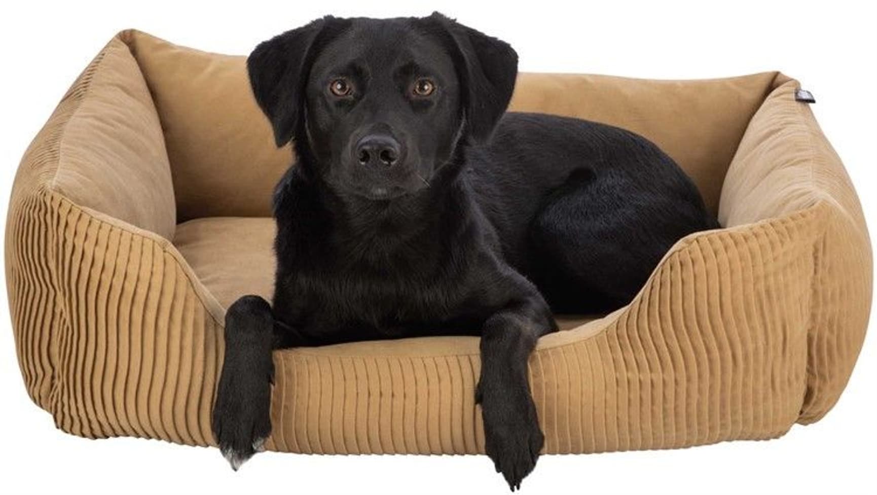 Marley koiranpeti, 60 x 50cm, vaaleanruskea, view: 2