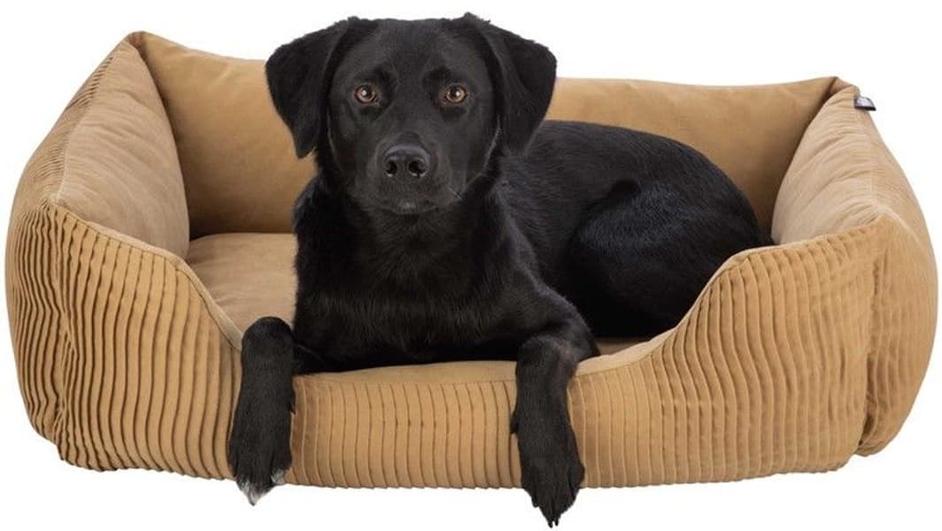 Marley koiranpeti, 60 x 50cm, vaaleanruskea, view: 2