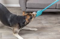 Bungee Dummy vetolelu, 20 cm / 47 cm - view: 2