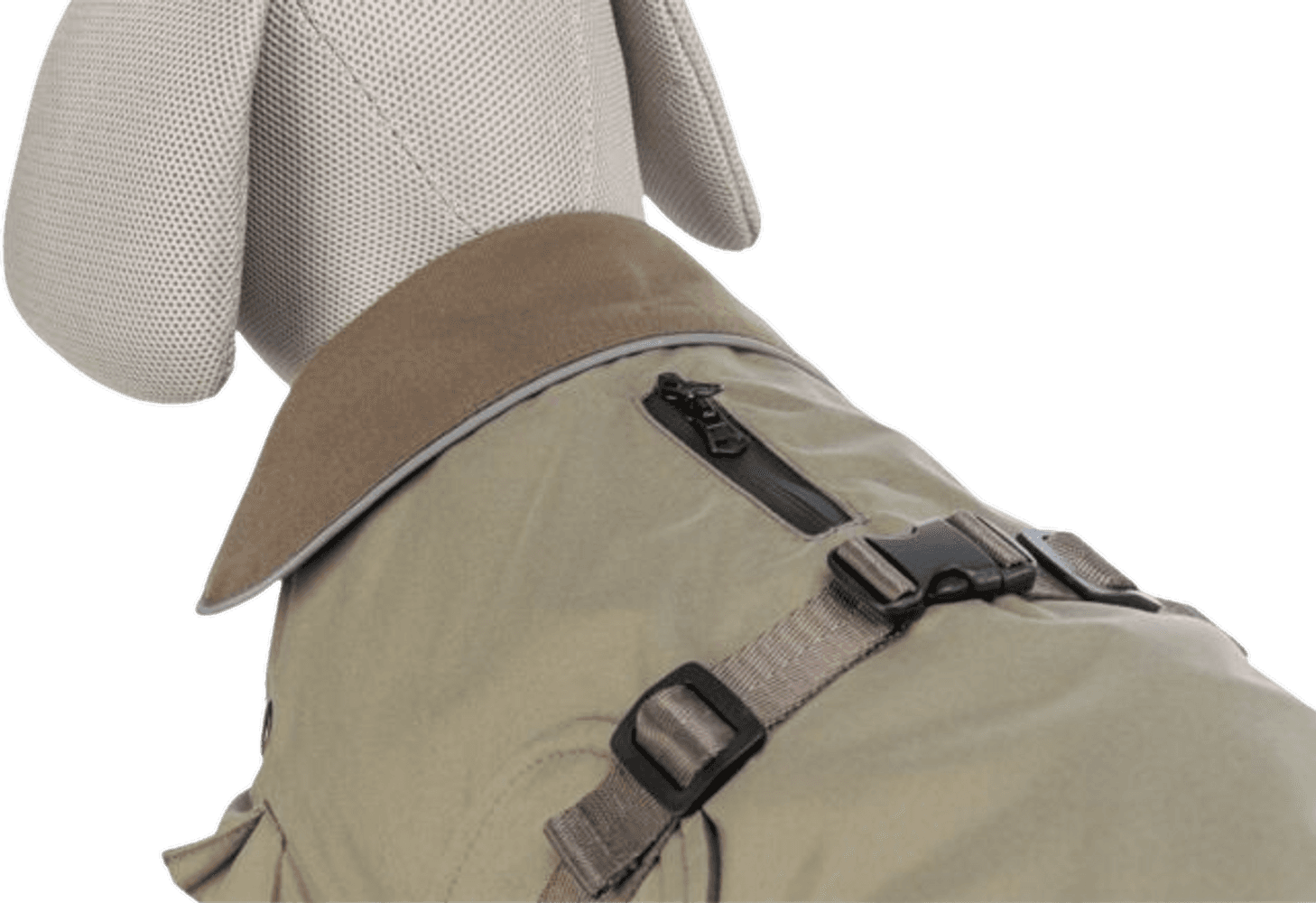 Hermy 2 in 1 Dachshund koiran takki, 33-38 cm, Olive Green, view: 1