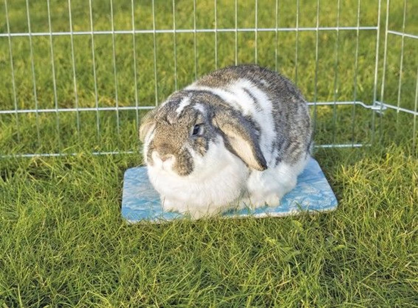 Viilennysalusta 28X20cm Sininen, view: 1