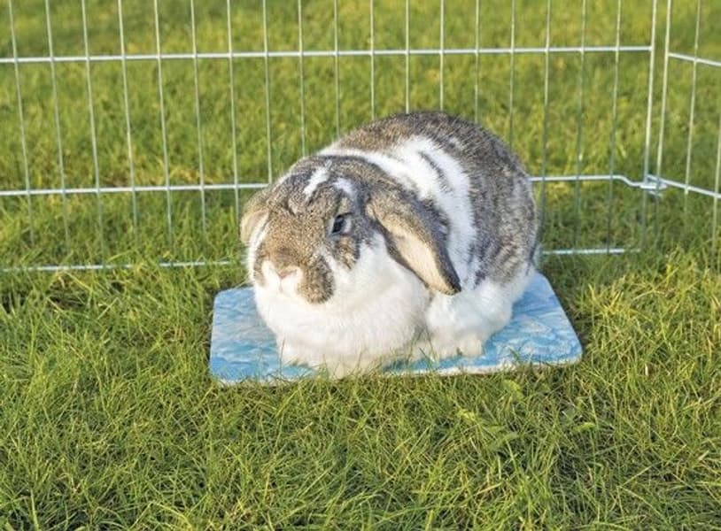 Viilennysalusta 28X20cm Sininen, view: 1