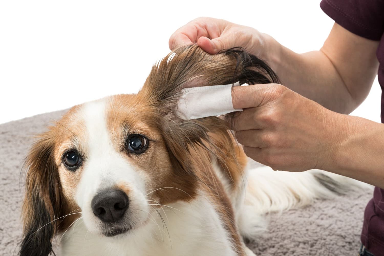 Fingerpads Aloe Vera korvanhoitoon, 50 kpl, view: 1