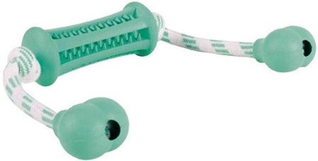 Denta Fun koiranlelu, 37 cm, minttu/valkoinen, view: 0