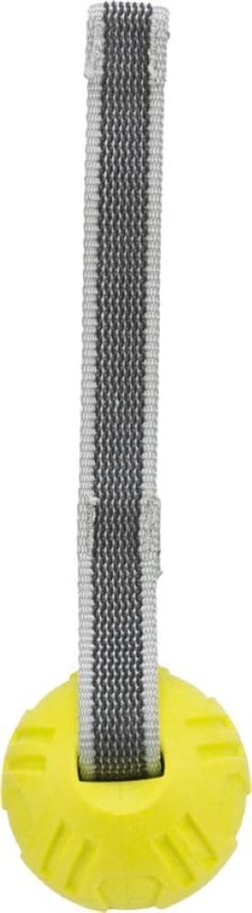 Sporting Boll noutolelu, ø6cm/20cm, lime, view: 1