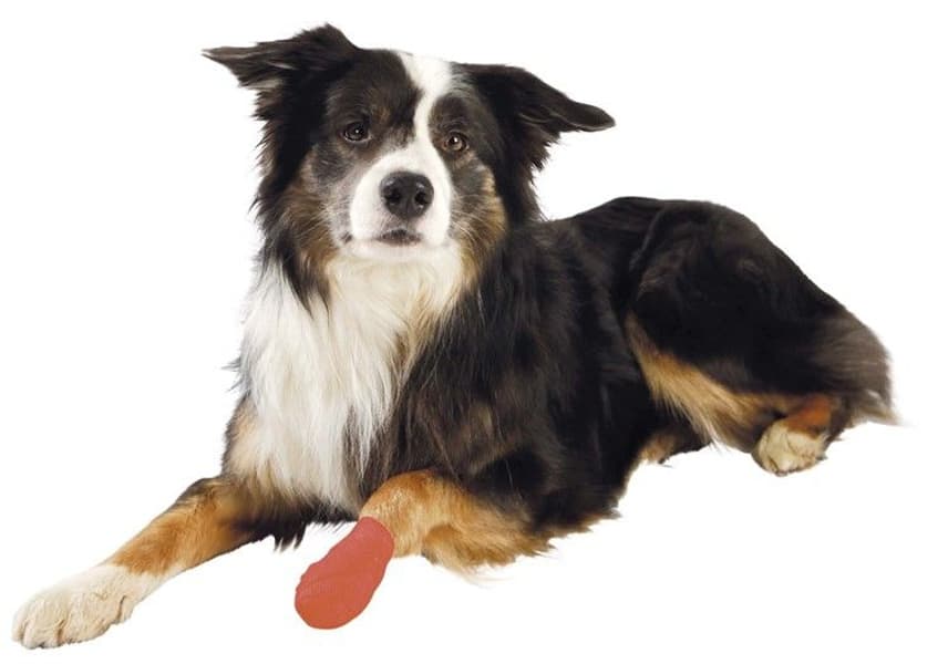 itsekiinnittyvä sideharso koiralle, 5 cm/4,5 m, 4 kpl, view: 3