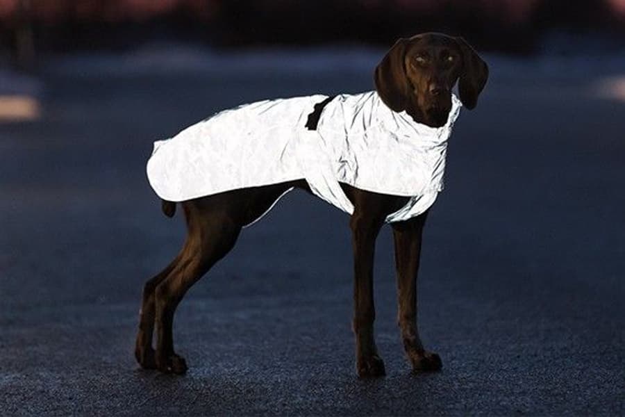 Lunas koiran heijastava sadetakki, 50–62 cm, view: 0