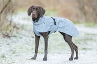 Lunas koiran heijastava sadetakki, 50–62 cm - view: 3