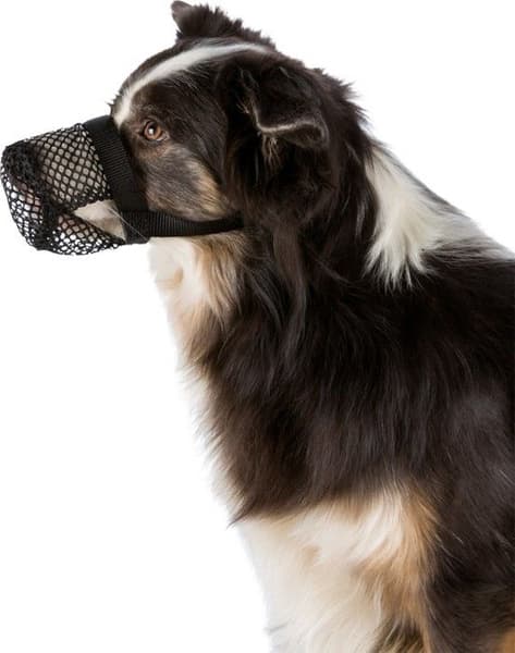 -suojaverkko kuonolle, M-L, musta, view: 1