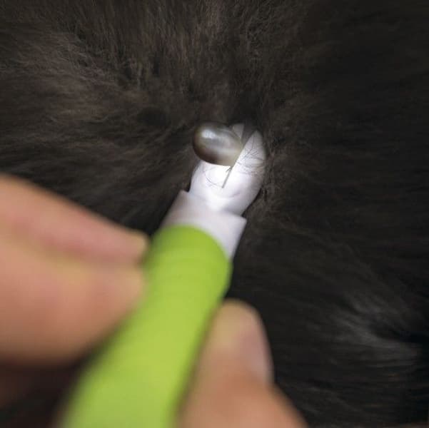 -punkkikynä LED-valolla, view: 3