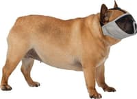 -kuonokoppa lyhytkuonoiselle koiralle, S-M - view: 1