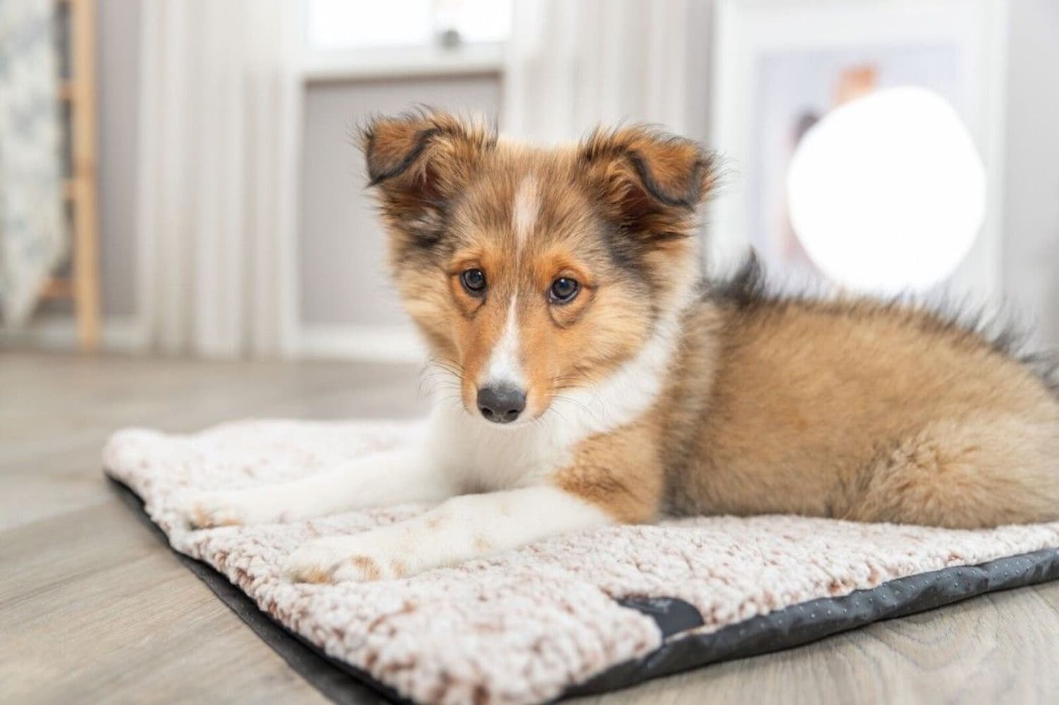 Calida makuualusta 100 x 65 cm, view: 7