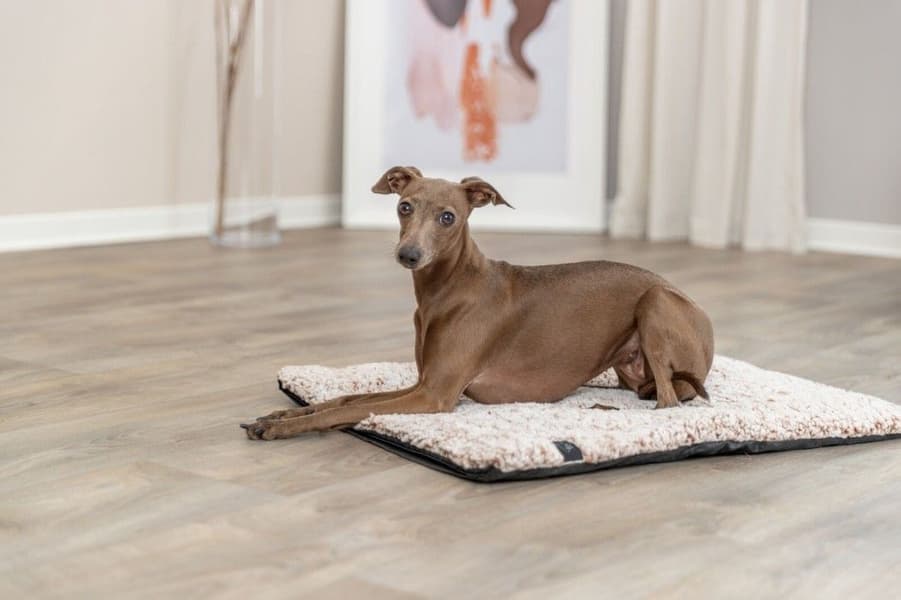 Calida makuualusta 100 x 65 cm, view: 8