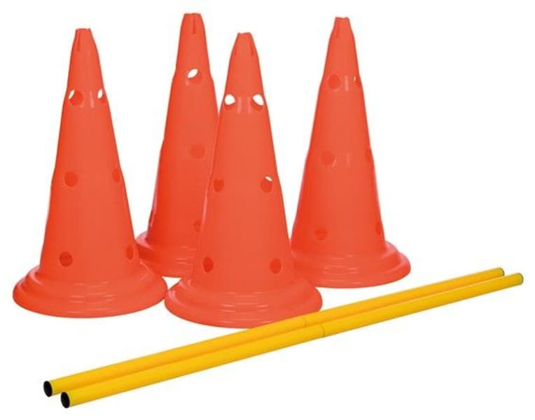 Dog Activity -esteet, 30 x 50 cm, view: 0