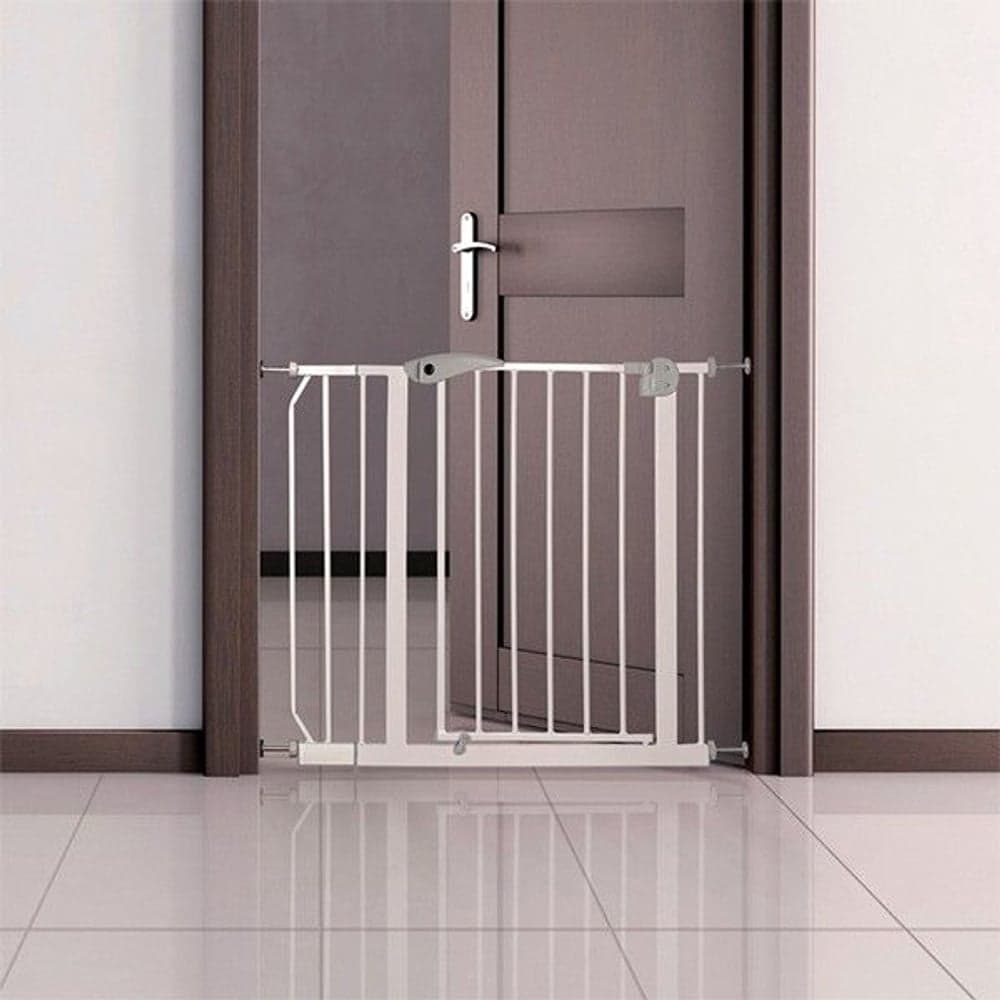 -koiraportin jatkopala, view: 1