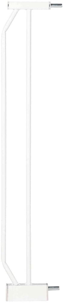 -koiraportin jatkopala, view: 0