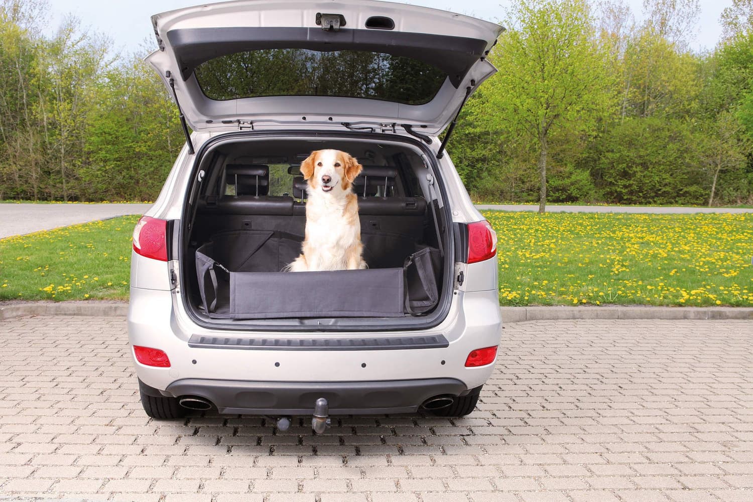 -tavaratilan suojus puskurisuojalla, 164 x 125 cm, view: 1