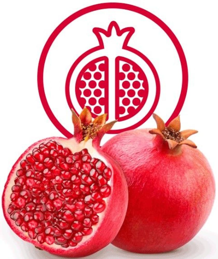 Dental Sticks Skin & Coat 100 g, view: 3