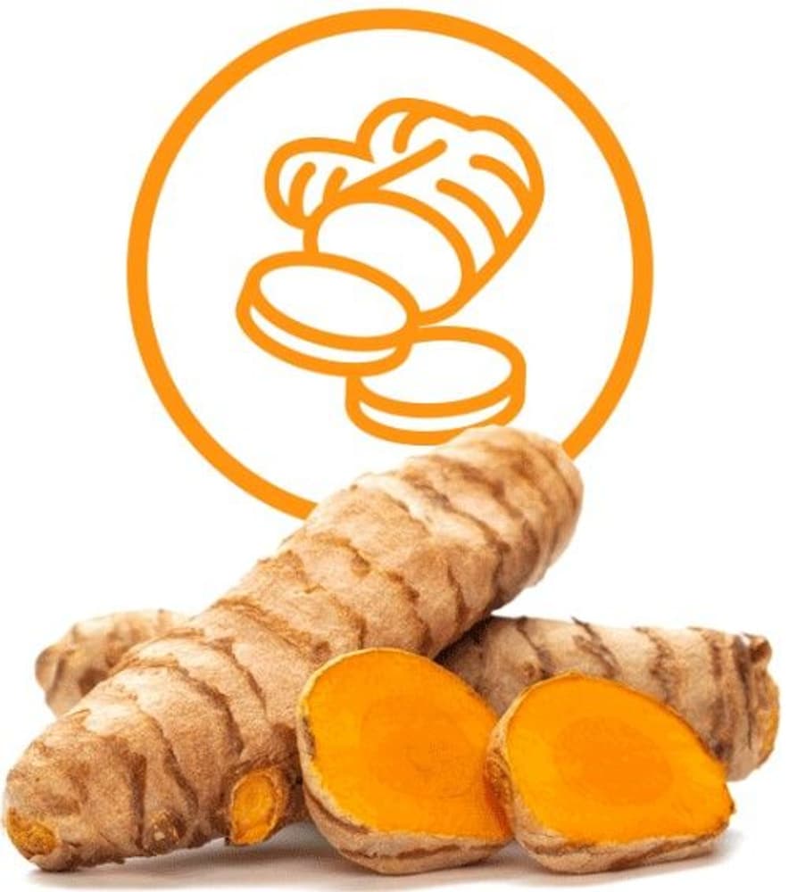 Dental Sticks Hip & Joint Large 125 g, view: 2