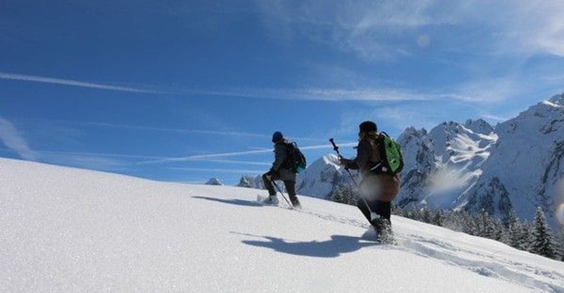 TSL 305 Initial lumikengät, Apricot (30-80kg), view: 4