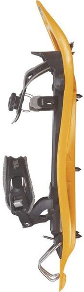 TSL 305 Initial lumikengät, Apricot (30-80kg), view: 1