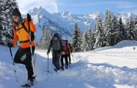 TSL 305 Initial lumikengät, Apricot (30-80kg) - view: 3