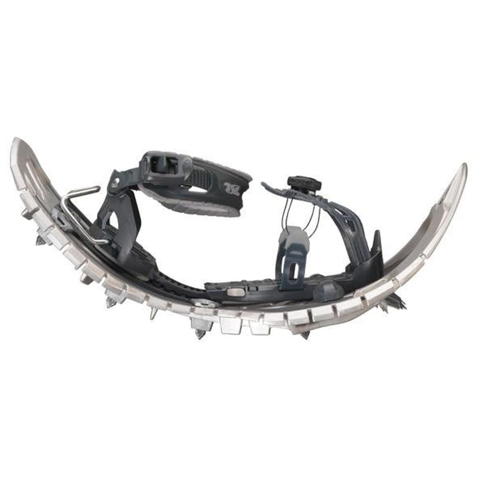 TSL SYMBIOZ Orginal Boa L -lumikengät, harmaa, view: 2