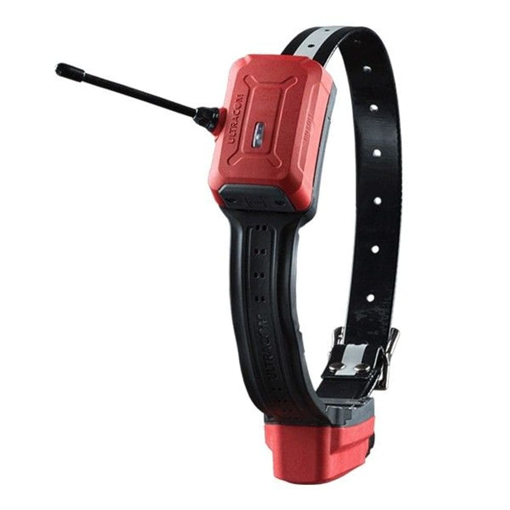 R10 -koiratutka, view: 0