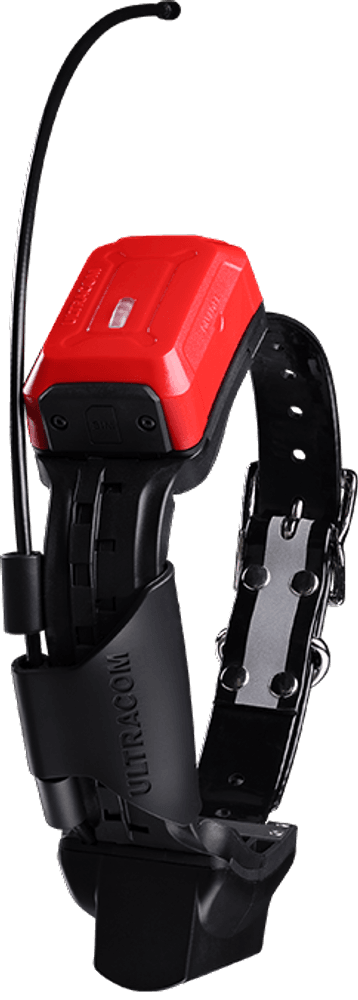 R10i Hybrid IoT koiratutka, view: 0