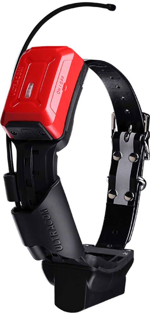 R10i Hybrid IoT koiratutka, view: 2