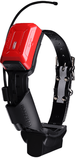 R10i Hybrid IoT koiratutka, view: 2